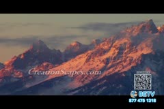 TV Content Image